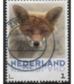 3013 Zoogdieren vos (o)