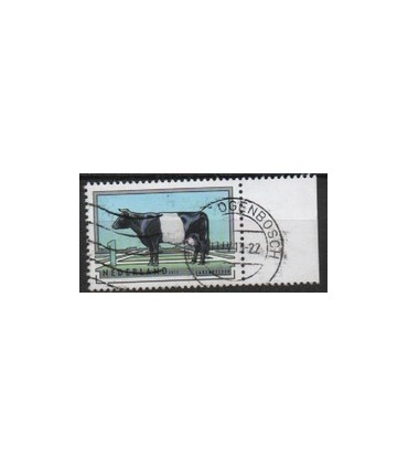 Rundvee ras 4. (o) TAB