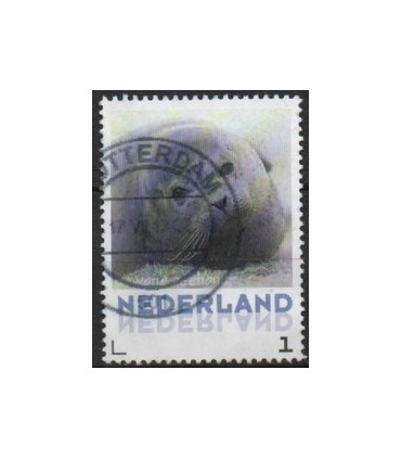 Zoogdieren Zeehond (o)