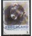 3013 Zoogdieren Bunzing (o)