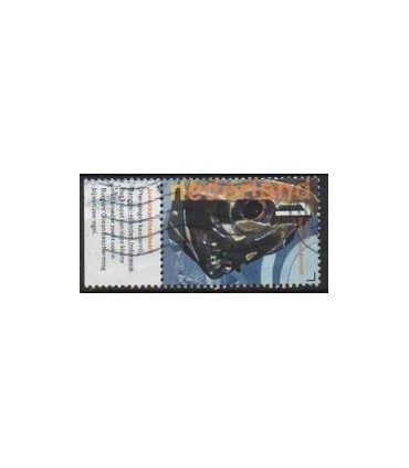 3033 Burgers Zoo chimpansee TAB (o) 