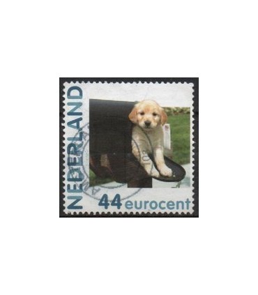 2682 Hb-14 Hallmark hond (o)