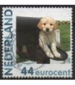 2682 Hb-14 Hallmark hond (o)