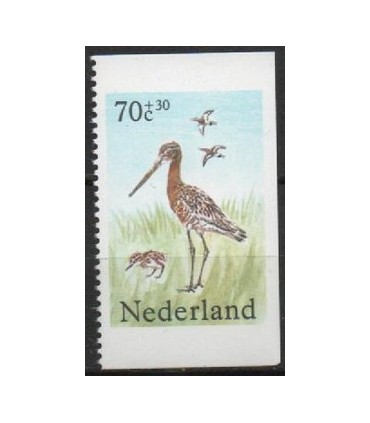 Comb. 199 1305c (xx)