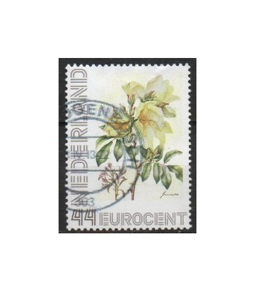 2563 Ad-12 Janneke Brinkman (o)