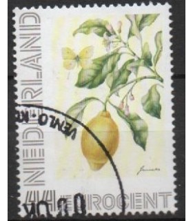 2563 Ad-05 Janneke Brinkman (o)