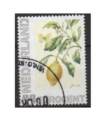 2563 Ad-05 Janneke Brinkman (o)