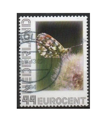 2563 Ae-51 Vlinders oranje tipje (o)