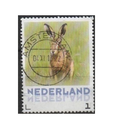 3013 Zoogdieren Haas (o)