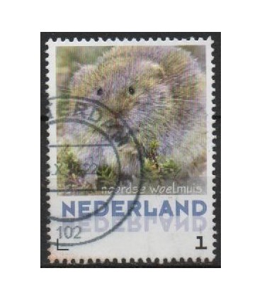 3013 Zoogdieren Noordse woelmuis (o)
