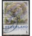 3013 Zoogdieren Noordse woelmuis (o)