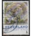 3013 Zoogdieren Noordse woelmuis (o)