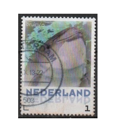 3013 Zoogdieren Bruinvis (o)