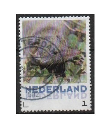 3013 Zoogdieren Huisspitsmuis (o)