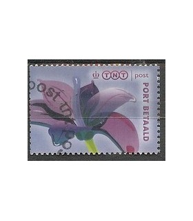 BZ12 Lelie blauw (o)