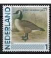 2791Aa 19 grote Canadese gans (o)