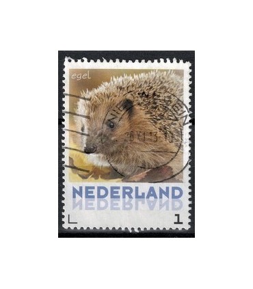 3013 Zoogdieren Egel (o)