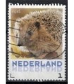 3013 Zoogdieren Egel (o)