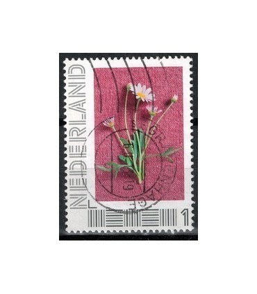 Beleef de seizoenen zomer (o) 2.