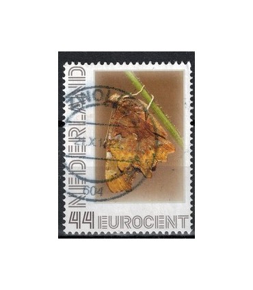 2563 Ae-22 Gehakelde aurelia (o)