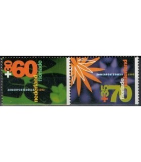 Comb. 354 (xx) 