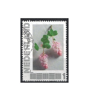 Beleef de seizoenen lente (o) 1.