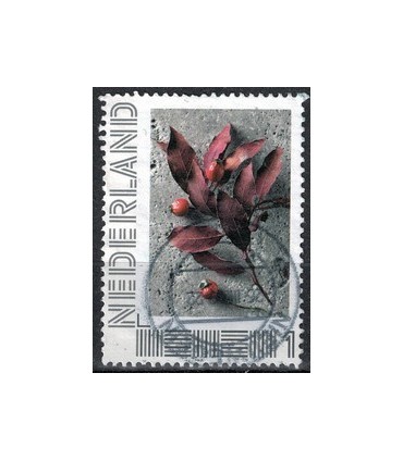 Beleef de seizoenen winter (o) 1.