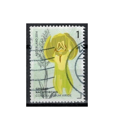 2014 Orchideeen 2 Hondskruid (o)