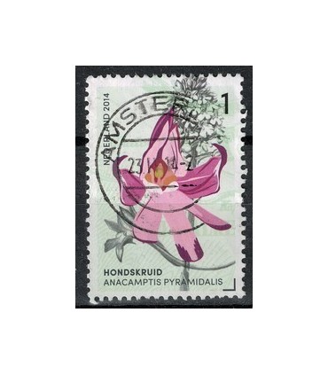 2014 Orchideeen 2 Hondskruid (o)