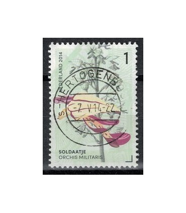 2014 Orchideeen 5 Soldaatje (o)