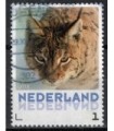 3013 Zoogdieren Lynx (o)