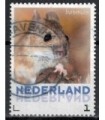 3013 Zoogdieren Bosmuis (o)