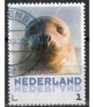 3013 Zoogdieren grijze Zeehond (o)