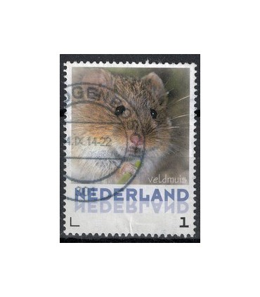 3013 Zoogdieren Veldmuis (o)